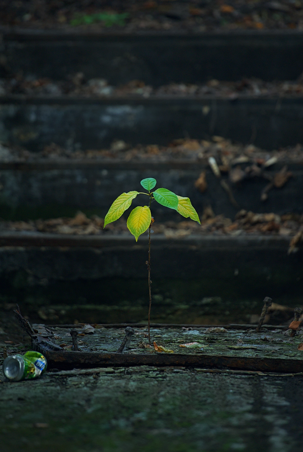 HW Photography — Fotografie — Haßfurt — Lost Places