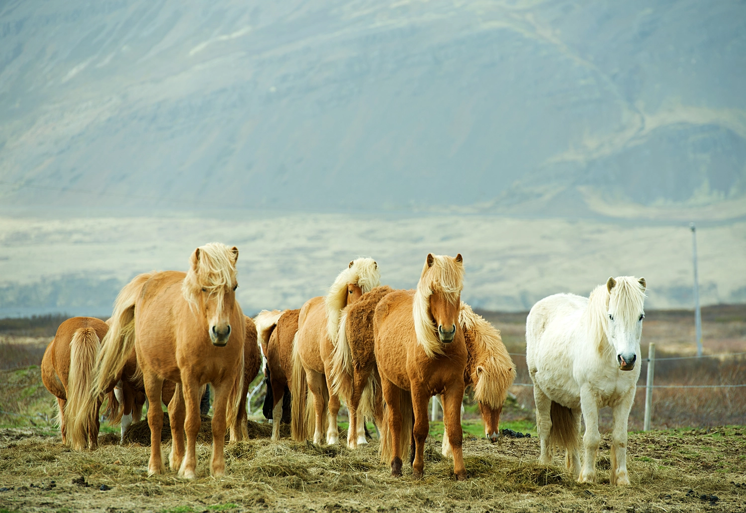 HW Photography — Fotografie — Haßfurt — Reisefotografien